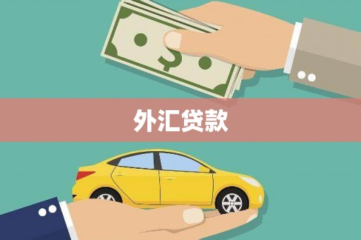 林芝外汇贷款