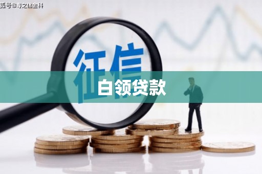 林芝白领贷款