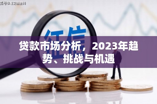 林芝贷款市场分析，2023年趋势、挑战与机遇