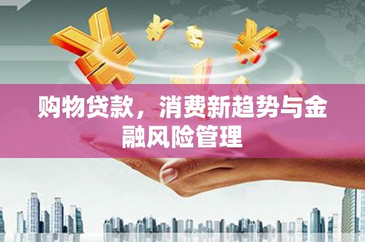 林芝购物贷款，消费新趋势与金融风险管理