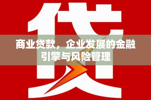 林芝商业贷款，企业发展的金融引擎与风险管理