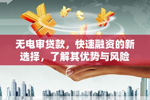 林芝无电审贷款，快速融资的新选择，了解其优势与风险