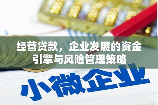林芝经营贷款，企业发展的资金引擎与风险管理策略