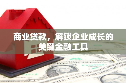 林芝商业贷款，解锁企业成长的关键金融工具