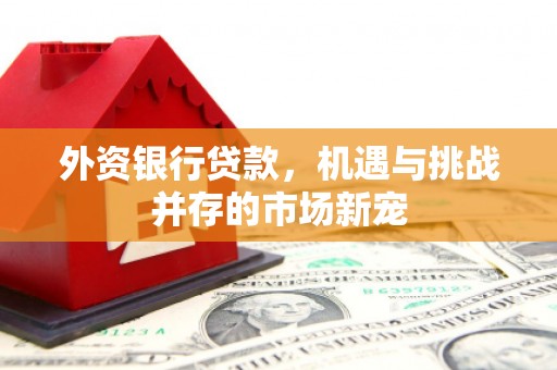 林芝外资银行贷款，机遇与挑战并存的市场新宠