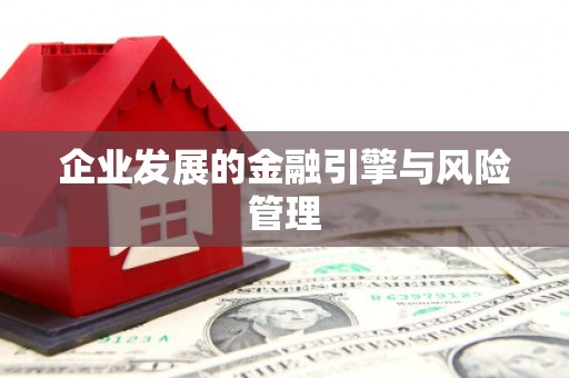 林芝企业发展的金融引擎与风险管理