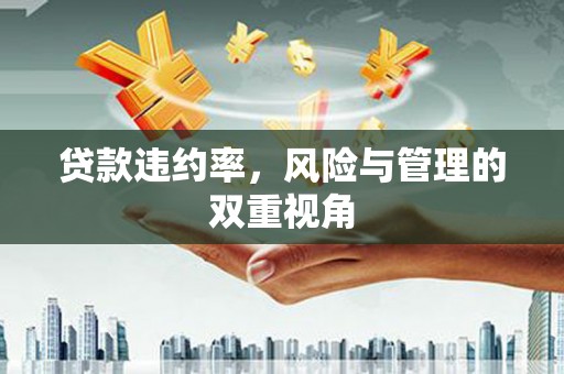 林芝贷款违约率，风险与管理的双重视角