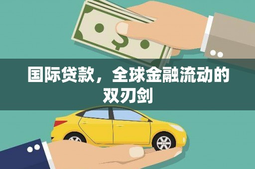 林芝国际贷款，全球金融流动的双刃剑