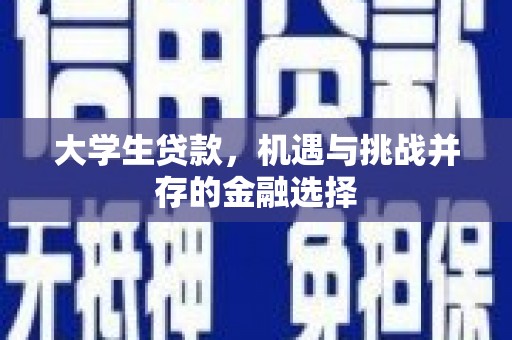 林芝大学生贷款，机遇与挑战并存的金融选择