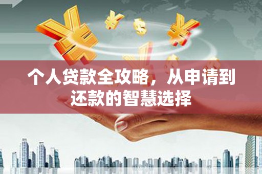 林芝个人贷款全攻略，从申请到还款的智慧选择