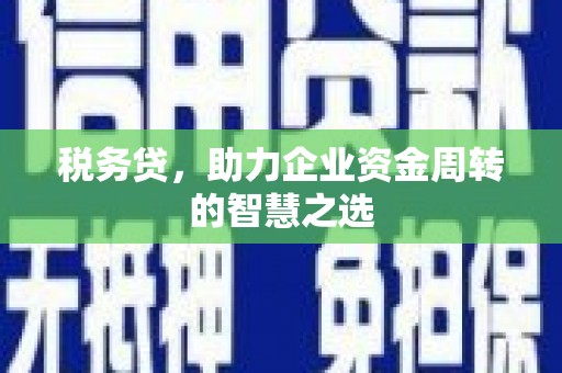 林芝税务贷，助力企业资金周转的智慧之选