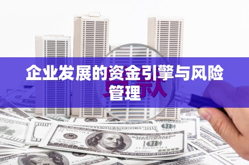 林芝企业发展的资金引擎与风险管理