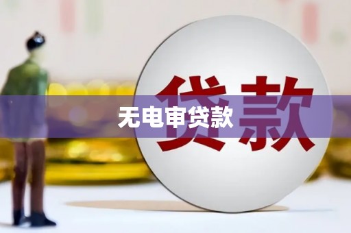 林芝无电审贷款