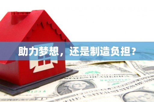 林芝助力梦想，还是制造负担？