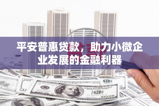 林芝平安普惠贷款，助力小微企业发展的金融利器
