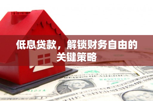 林芝低息贷款，解锁财务自由的关键策略