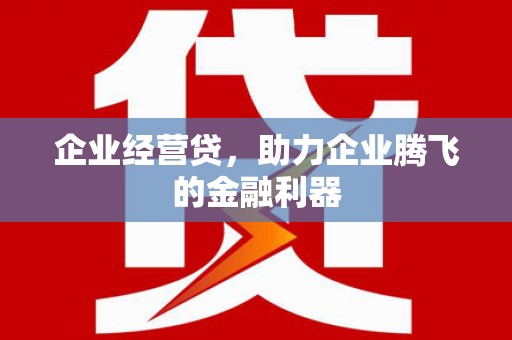 林芝企业经营贷，助力企业腾飞的金融利器