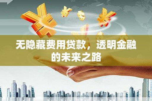 林芝无隐藏费用贷款，透明金融的未来之路