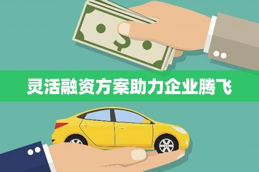 林芝灵活融资方案助力企业腾飞