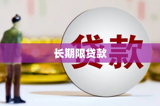 林芝长期限贷款