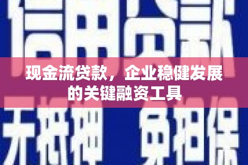 林芝现金流贷款，企业稳健发展的关键融资工具