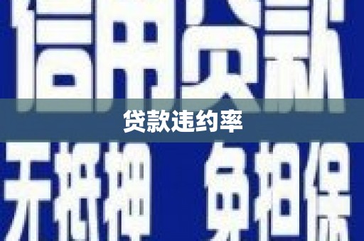 林芝贷款违约率