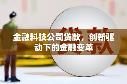林芝金融科技公司贷款，创新驱动下的金融变革