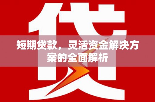 林芝短期贷款，灵活资金解决方案的全面解析