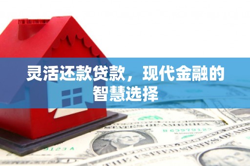 林芝灵活还款贷款，现代金融的智慧选择