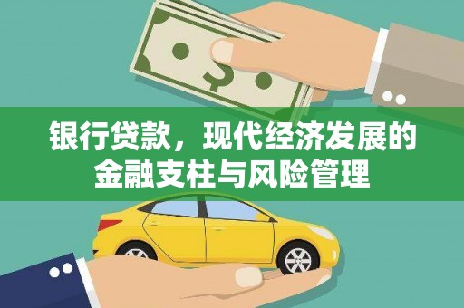 林芝银行贷款，现代经济发展的金融支柱与风险管理