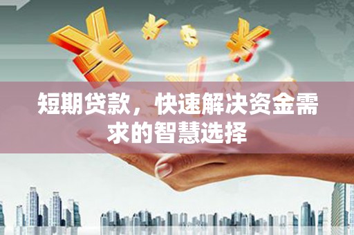 林芝短期贷款，快速解决资金需求的智慧选择