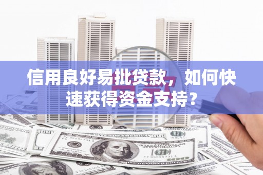 林芝信用良好易批贷款，如何快速获得资金支持？