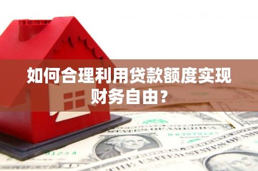 林芝如何合理利用贷款额度实现财务自由？
