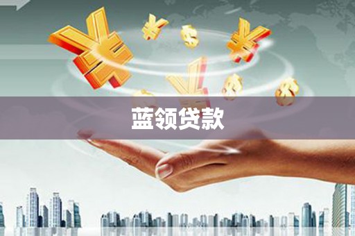 林芝蓝领贷款