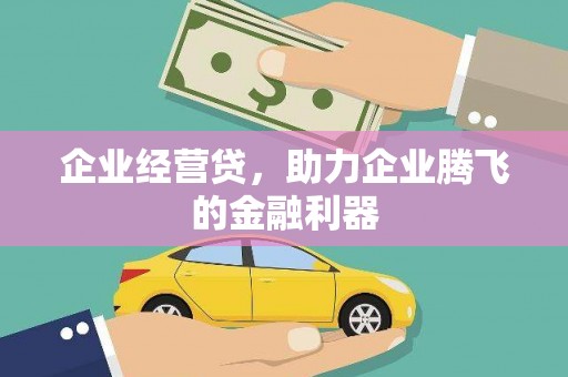 林芝企业经营贷，助力企业腾飞的金融利器
