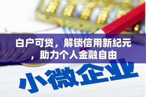 林芝白户可贷，解锁信用新纪元，助力个人金融自由