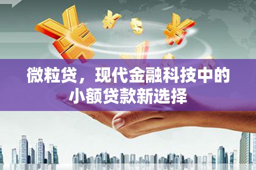 林芝微粒贷，现代金融科技中的小额贷款新选择
