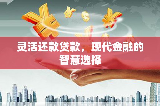 林芝灵活还款贷款，现代金融的智慧选择