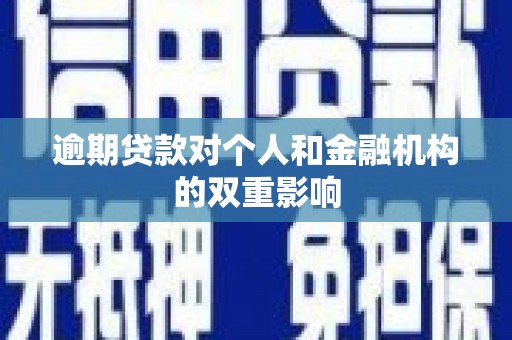 林芝逾期贷款对个人和金融机构的双重影响