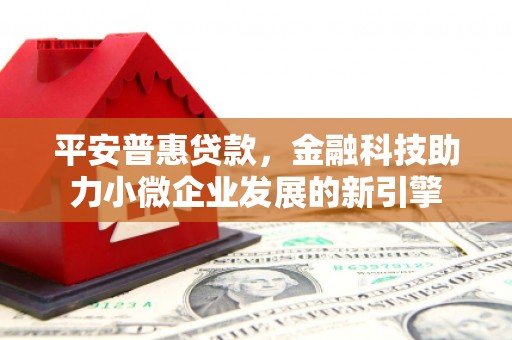林芝平安普惠贷款，金融科技助力小微企业发展的新引擎