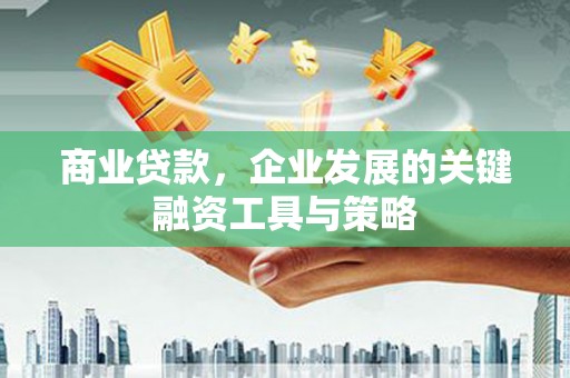 林芝商业贷款，企业发展的关键融资工具与策略