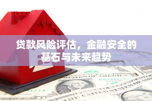 林芝贷款风险评估，金融安全的基石与未来趋势