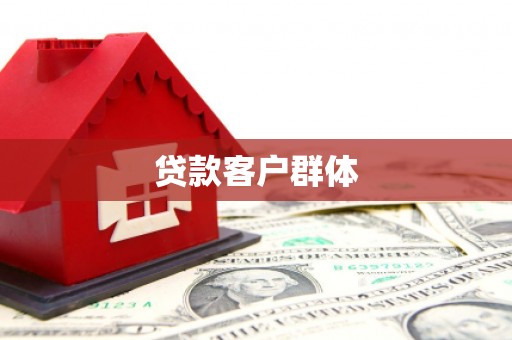 林芝贷款客户群体