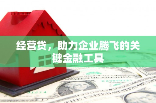 林芝经营贷，助力企业腾飞的关键金融工具