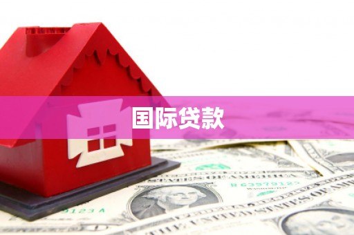 林芝国际贷款