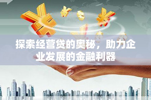 林芝探索经营贷的奥秘，助力企业发展的金融利器