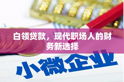林芝白领贷款，现代职场人的财务新选择
