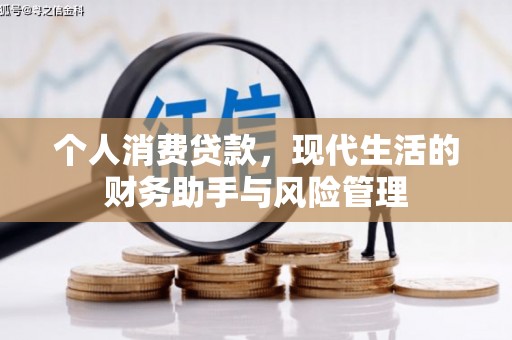 林芝个人消费贷款，现代生活的财务助手与风险管理