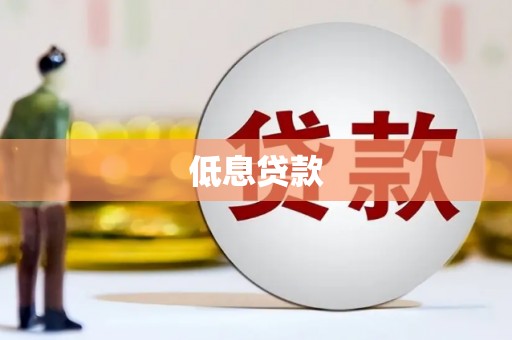 林芝低息贷款