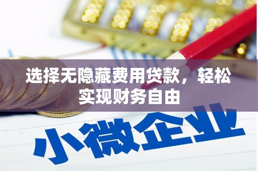 林芝选择无隐藏费用贷款，轻松实现财务自由